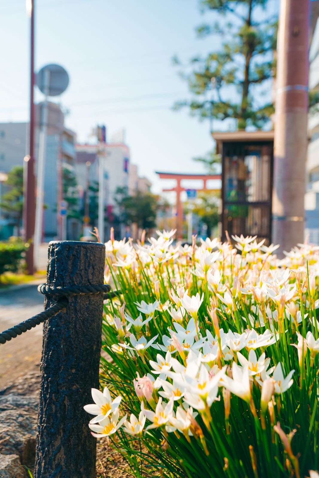 City photo — street scene