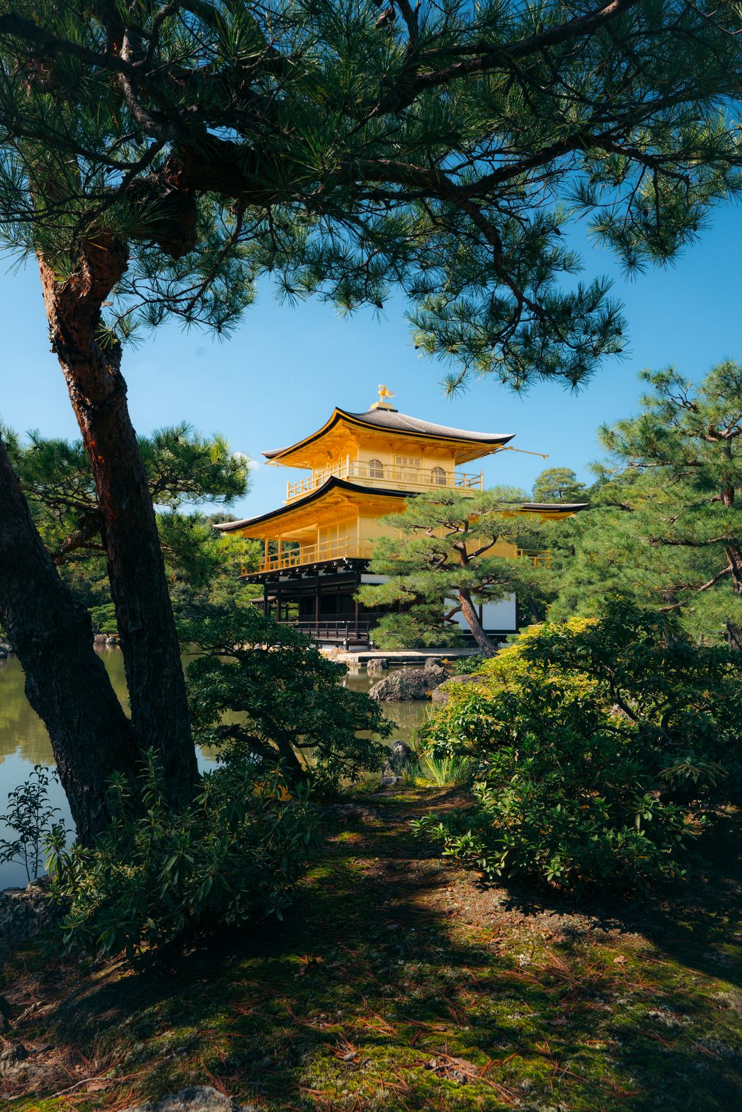Outdoors photo — outdoor scene