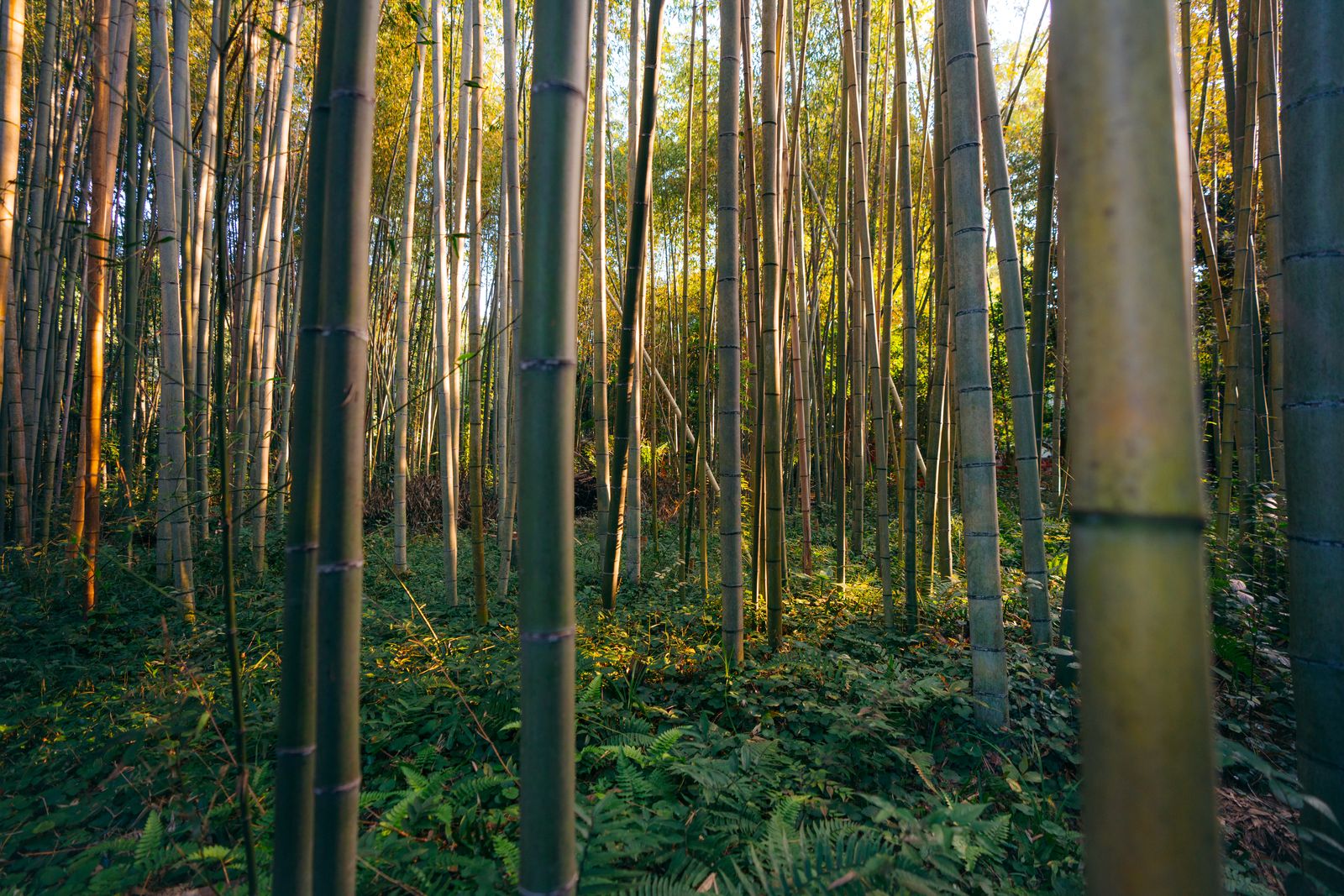 Outdoors photo — outdoor scene