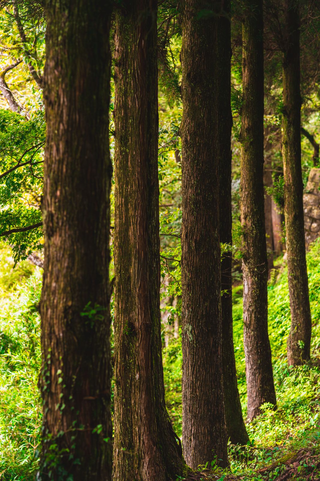 Outdoors photo — outdoor scene