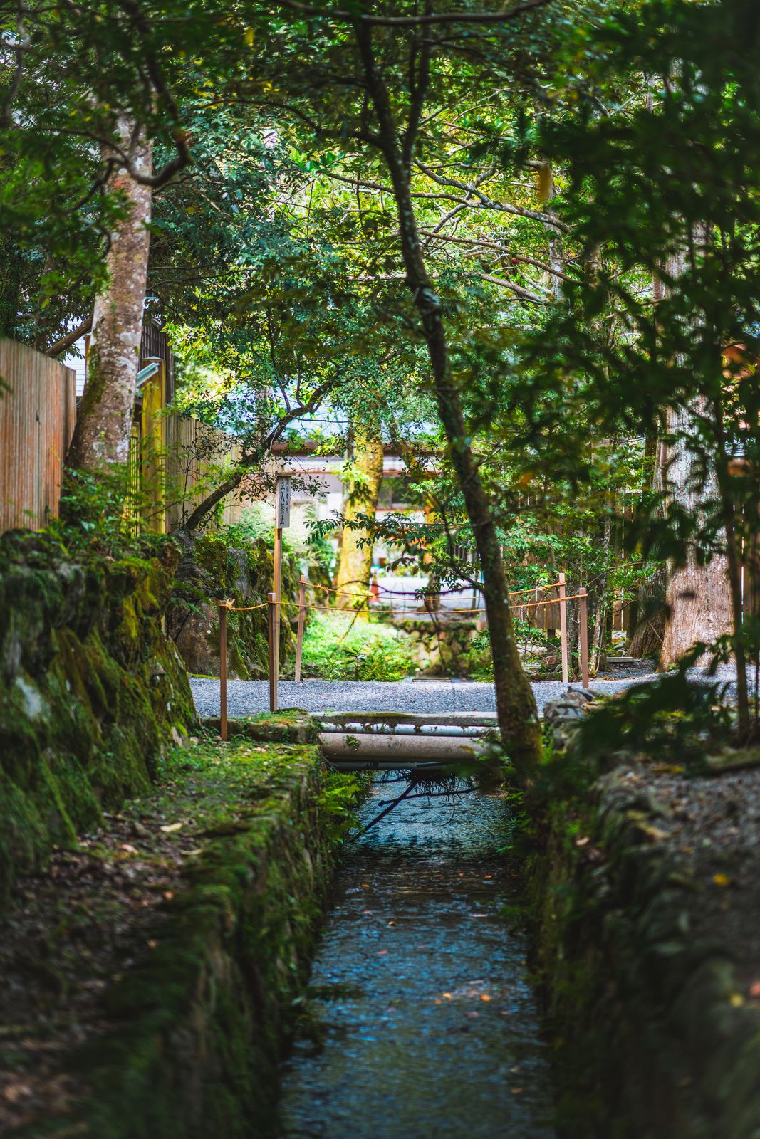 Outdoors photo — path through the forest