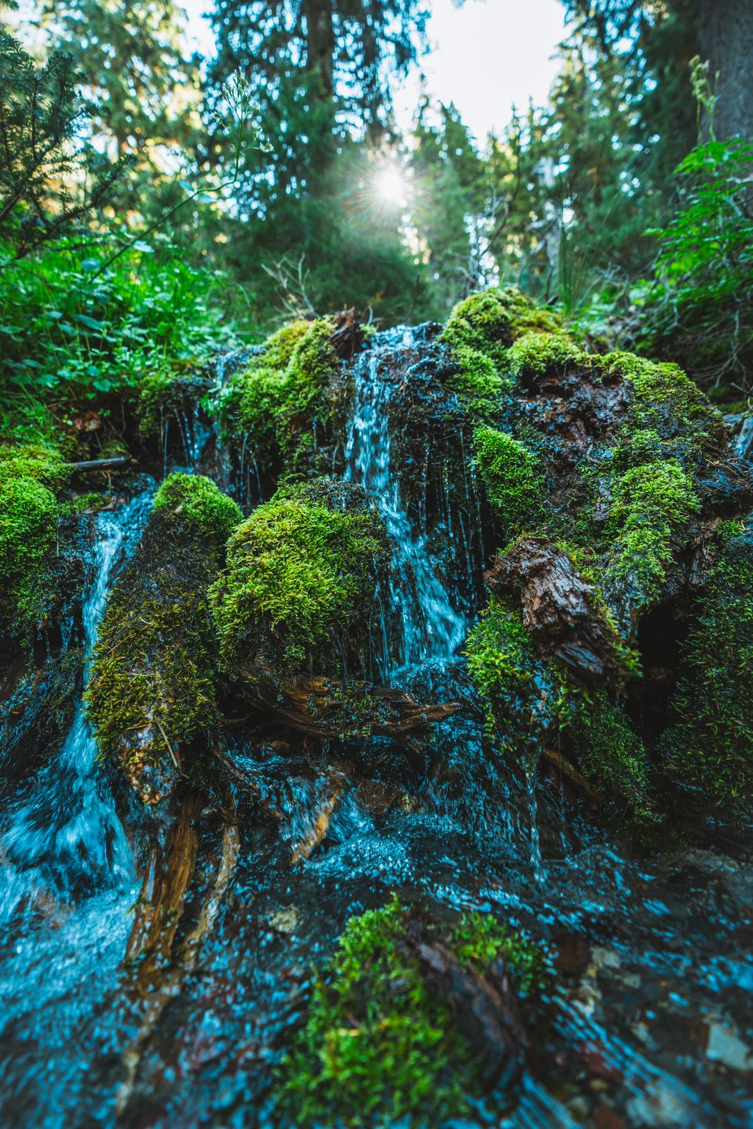 Outdoors photo — outdoor scene