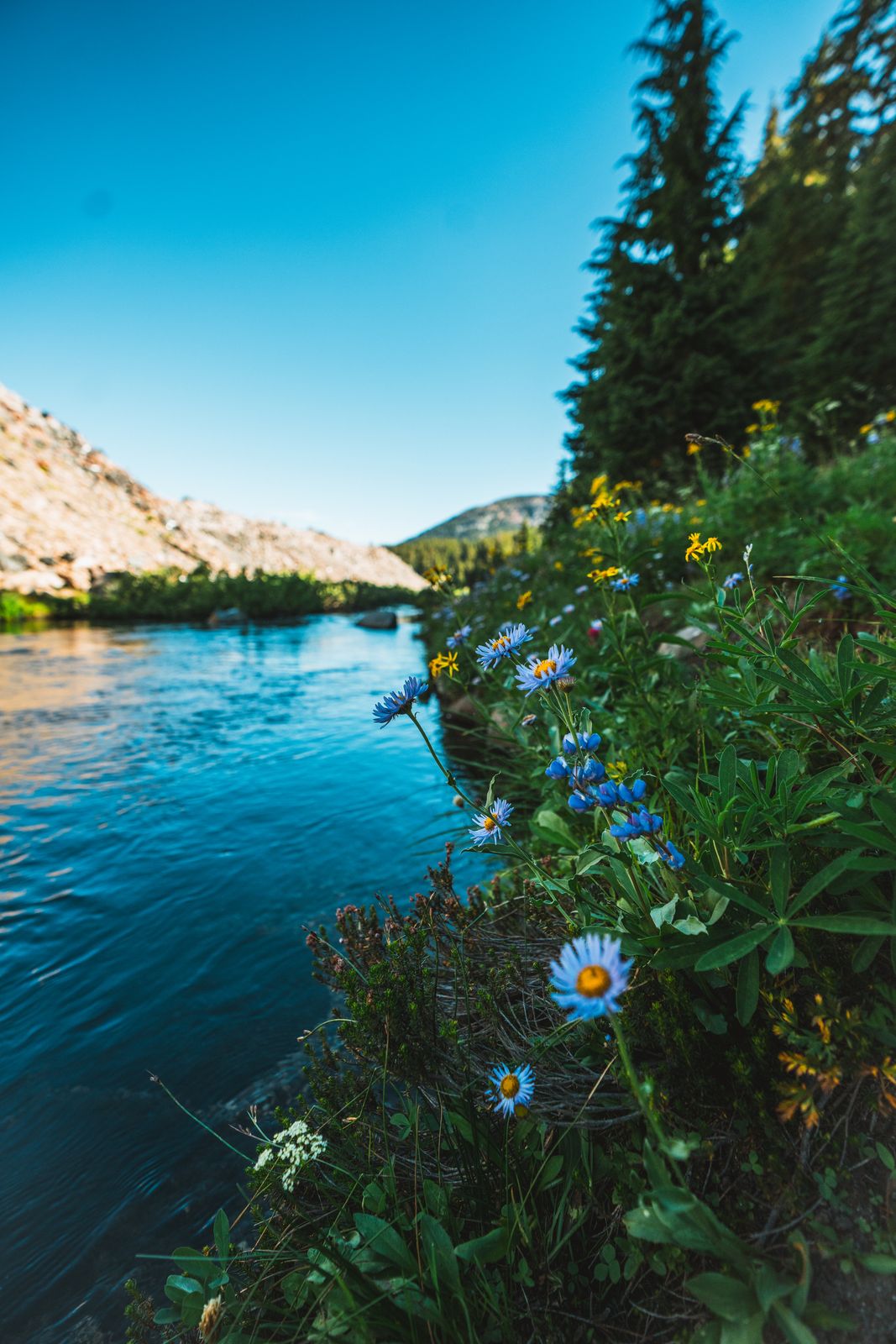 Outdoors photo — outdoor scene