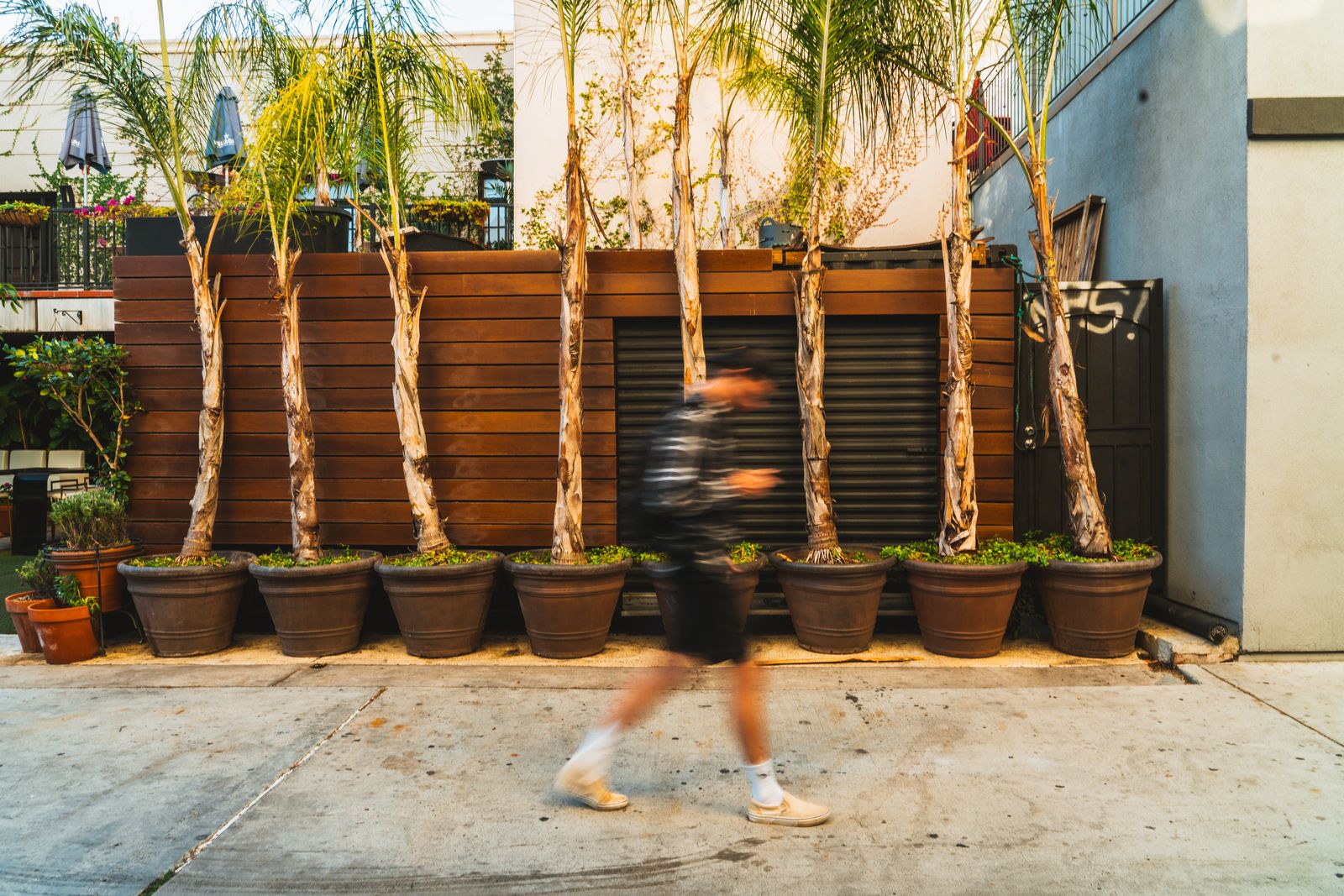People photo — motion blur past the palm planters