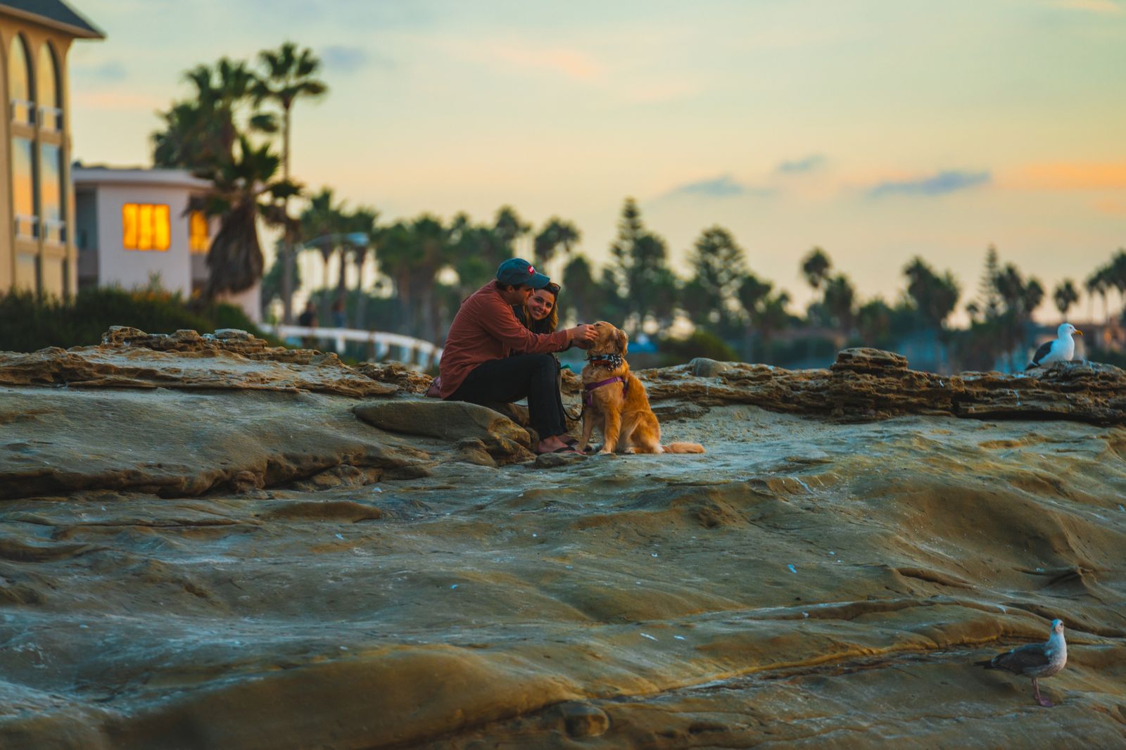 People photo — couple sitting on the rocks with their dog at sunset